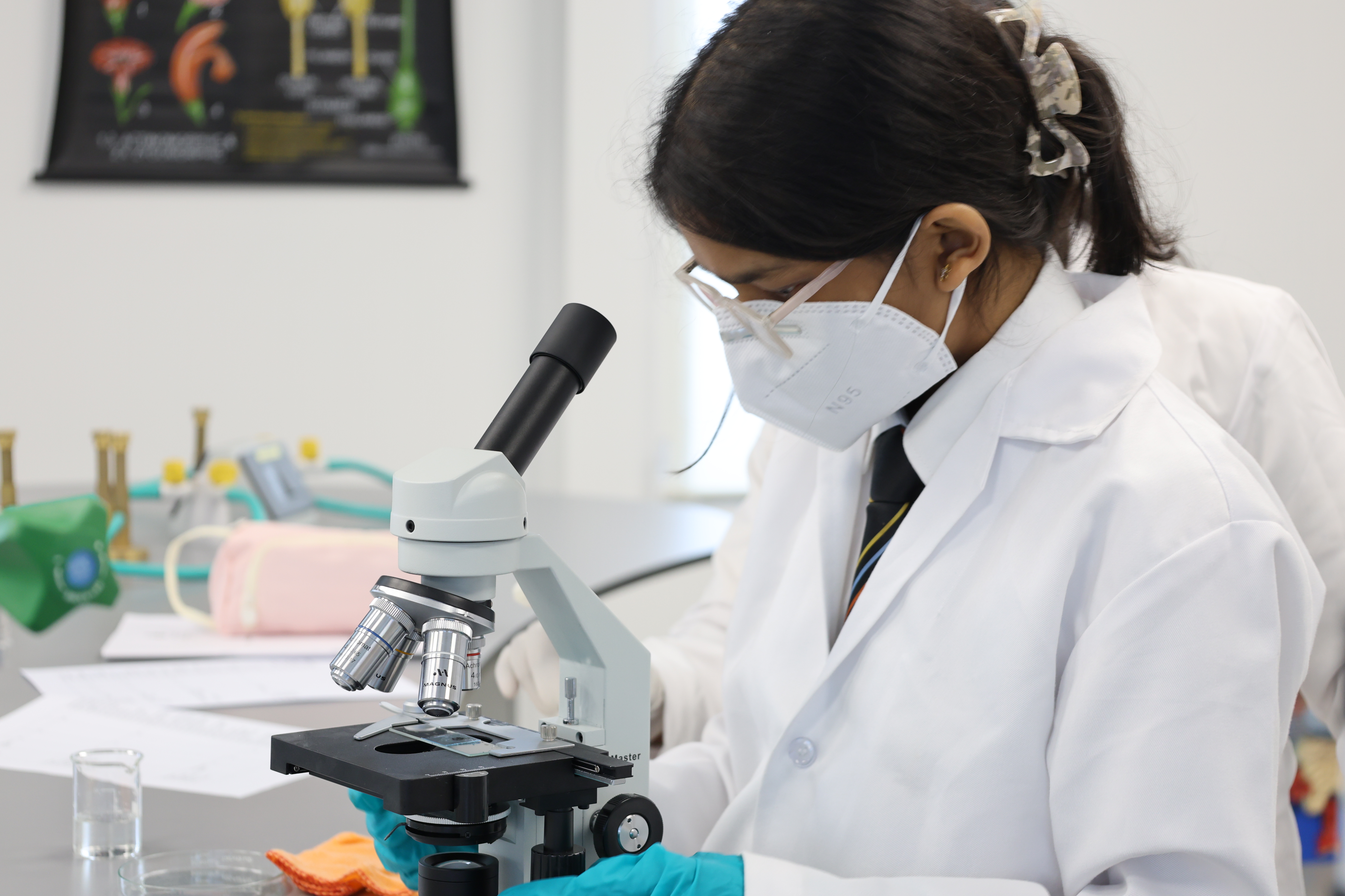 Scholarships for students rewarding academic and co-curricular excellence
