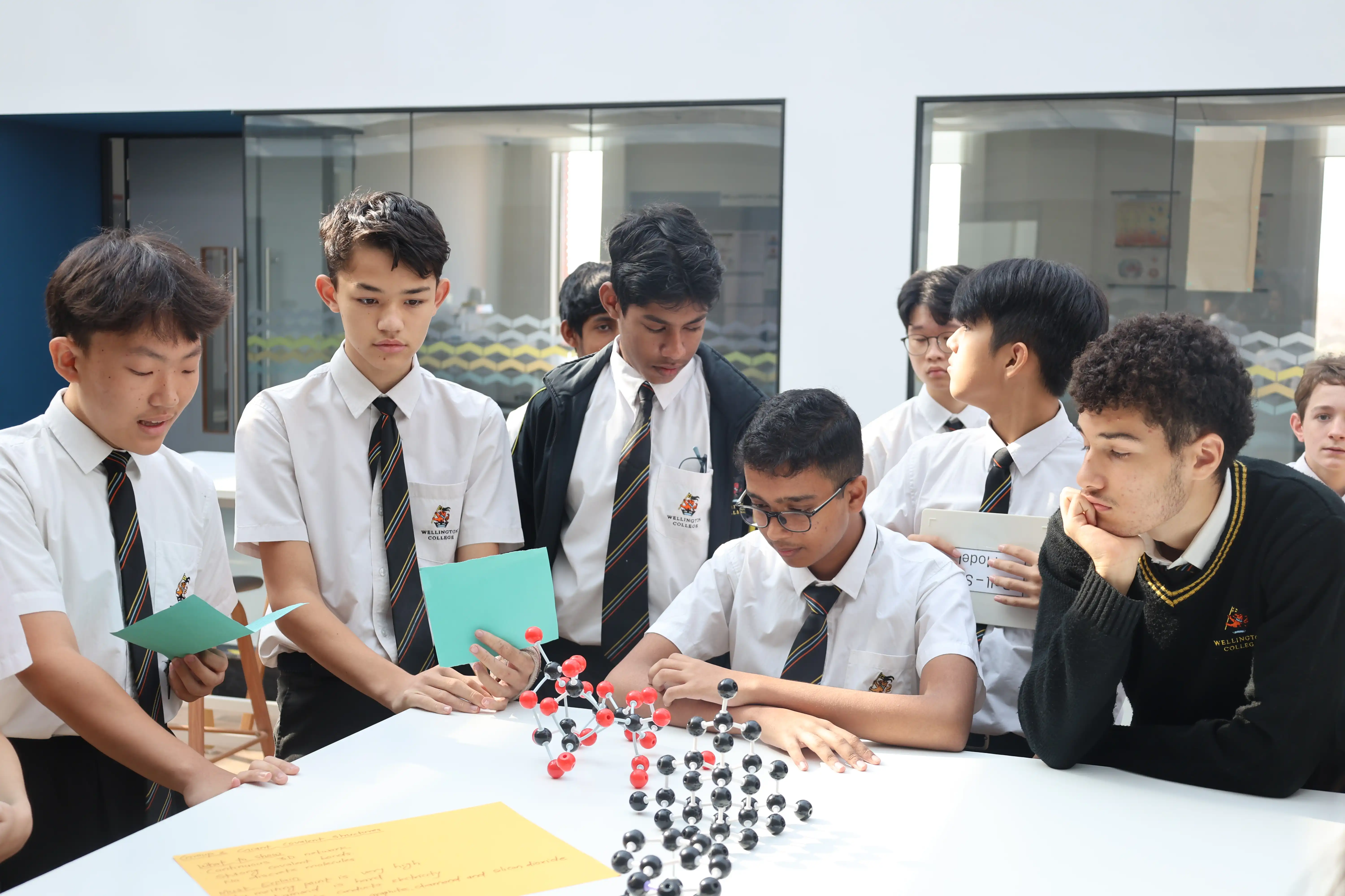 Students learning together in class

